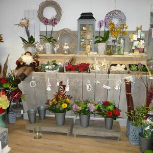 De Hortensia image 2