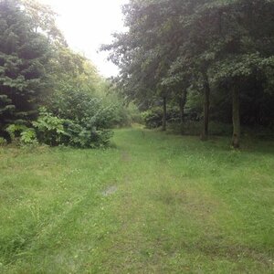 Camping Land uit Zee image 1