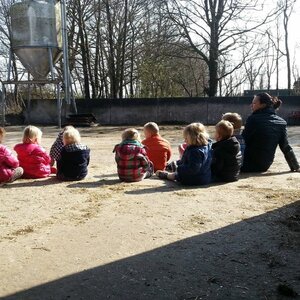 KDV 't Krieltje image 1