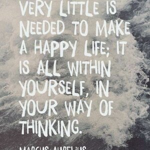 De Lantaarn Coaching image 1