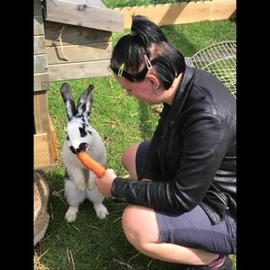 Zorgboerderij Noorderend image 1