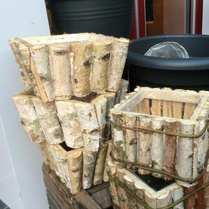 Neeltje&#039;s Bloemen image 5