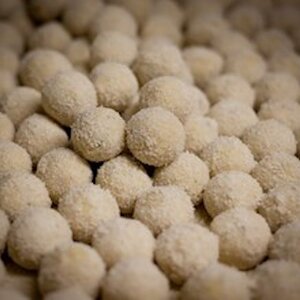 Visserijbedrijf R.W. van der Burg image 4