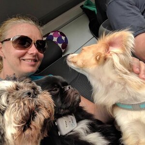 Hondenuitlaatservice Anouska image 2