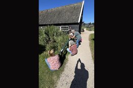 Smartphone fotografie in Uitgeest, Alkmaar, Zuiderzeemuseum en Broekerveiling