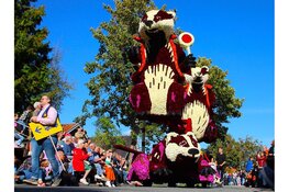 Corso laat je verbazen