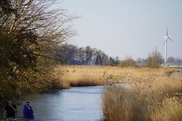 Meerdere buitenbrandjes in Lutjebroek