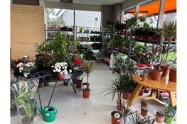 Feestelijke heropening RataPlan Grootebroek op 10 april