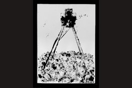 Expositie Mirjam Peters in St. Paul's: ‘Al mijn schilderijen hebben kracht’