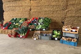 De gezonde agrarische markt met proeverij en beleving zorgt voor verbinding. Opening door boer Roel om 11 uur.