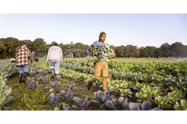 Na jaren zoeken is de plek gevonden: Herenboeren West-Friesland start in 2027 in Hem