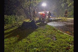 Brandweer verwijdert omgevallen boom van weg in Bovenkarspel