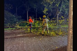 Brandweer verwijdert omgevallen boom van weg in Bovenkarspel