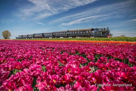 VriendenLoterij verlengt miljoenenbijdrage aan vijf musea in Noord-Holland