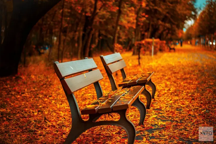 November start met rustig herfstweer, nachten worden frisser