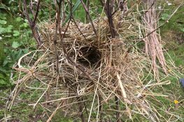 Natuurproefjes in het Streekbos