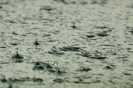 Van hittegolf naar 'regengolf', plensbuien, hagel en onweer op komst