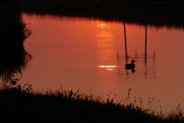 &#39;Nacht&#39;wandelen met IVN