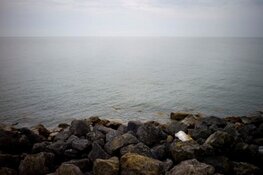 Onderzoek naar zonne-eilanden in IJsselmeer - Ruimte geven aan natuur en duurzame energie