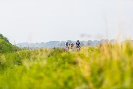 &#39;n Skoftig mooi tochie: jubileumeditie Ronde van de Westfriese Omringdijk een groot succes!