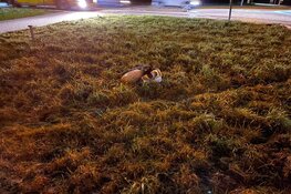 Auto te water in Grootebroek