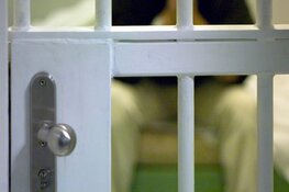 Verdachte vernielingen auto's aangehouden