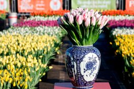 Olympisch kampioene Irene Schouten doopt 'Dutch Pearl'