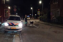 Snackbar overvallen in Grootebroek
