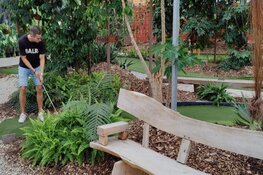 Op zoek naar een super leuk uitje?  Kom gezellig minigolfen of wandel tussen de mooiste vlinders !