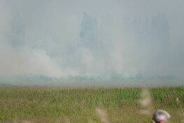 Rietbrand in Lutjebroek