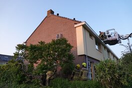 Kat na anderhalve dag uit dakgoot gehaald