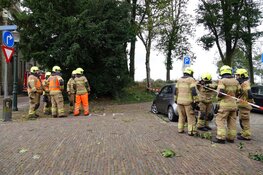Woningen ontruimd in Enkhuizen vanwege vallende bomen