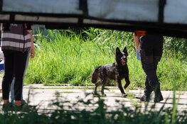 Vermiste man (36) uit Hoogkarspel weer terecht